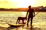 SUP LESSONS