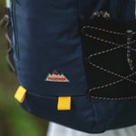 Passenger Vale Bag 25L